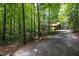 Long, gravel driveway leading to a home nestled in a serene, wooded setting at 9709 Greenfield Rd, Chapel Hill, NC 27516