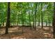 The wooded area offers a serene and private retreat, surrounded by lush greenery and natural beauty at 105 Windfall Ct, Cary, NC 27518