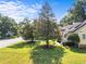 Well-maintained front yard with mature trees, lush green grass, and a charming yellow home at 11901 N North Exeter Way Way, Raleigh, NC 27613