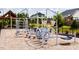 Community playground with climbing structures and shaded areas at 124 Seagraves Creek Ln, Holly Springs, NC 27540