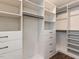 Bright walk-in closet showcasing built-in shelving and drawers for optimal organization and storage at 12421 Angel Vale Pl, Durham, NC 27703
