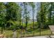 Spacious backyard with views of the woods, a black metal fence, and greenery at 2586 Lacey Holt Rd, Graham, NC 27253