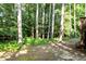 Backyard featuring tall trees and green foliage at 4600 Landover Dale Dr, Raleigh, NC 27616