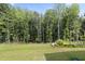 Spacious backyard with lush green lawn and natural wooded border providing privacy at 544 Tanner Lake Ln, Raleigh, NC 27610