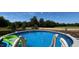 Backyard with an above ground pool, blue water, and green forest in the distance at 553 Sturgeon St, Smithfield, NC 27577