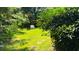 Lush backyard featuring an outdoor area, ideal for relaxing or entertaining at 71010 Russell, Chapel Hill, NC 27517