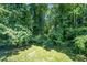 Lush backyard featuring vibrant greenery and a serene wooded backdrop at 725 E Maple Ln, Fuquay Varina, NC 27526