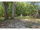 This is a backyard with lush green trees and a shed behind a light gray house at 908 Snow Hill Rd, Durham, NC 27712