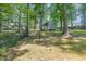 Secluded backyard featuring a storage shed, mature trees, and a chain-link fence at 908 Snow Hill Rd, Durham, NC 27712