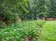 Garden area featuring plants and a shed at 218 Inwood Forest Dr, Raleigh, NC 27603