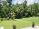 Expansive backyard featuring lush green lawn and mature trees, ideal for outdoor activities at 223 Chauncey Cir, Chapel Hill, NC 27516