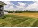 Backyard view showing the expanse of lawn and trees beyond at 2413 Whelen Dr, Graham, NC 27253