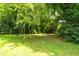 Lush backyard featuring mature trees and plenty of shade at 907 Morehead Ave, Durham, NC 27707