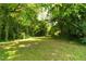 Expansive backyard featuring mature trees and lush greenery at 907 Morehead Ave, Durham, NC 27707