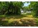 Expansive backyard featuring a lush lawn surrounded by mature trees, with a charming house visible in the distance at 907 Morehead Ave, Durham, NC 27707