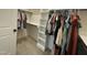 Walk-in closet with clothing racks, shelving, carpeted floors, and organized clothing at 3 Meadowrue Ln, Youngsville, NC 27596