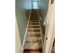 Carpeted staircase with wood handrail leads to the upper level, creating a seamless transition between floors at 3 Meadowrue Ln, Youngsville, NC 27596