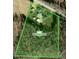 Aerial view shows surrounding trees and location relative to the road at 3701 Oak Grove Church Rd, Mebane, NC 27302
