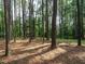 View of a wooded lot featuring mature trees and natural ground cover at 45 Softwood Dr, Franklinton, NC 27525
