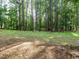 View of a wooded lot featuring mature trees and green space at 45 Softwood Dr, Franklinton, NC 27525