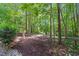 Serene backyard with lush greenery, mature trees, and a mulched area, creating a peaceful outdoor setting at 512 Mill Hopper Ln, Apex, NC 27502