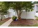 Well-maintained yard with beautiful landscaping and a modern privacy fence at 7159 Sandy Creek Dr, Raleigh, NC 27615