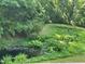 Green backyard with lots of foliage at 8228 Clarks Branch Dr, Raleigh, NC 27613