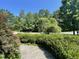 View of lush green front yard surrounded by mature trees at 8228 Clarks Branch Dr, Raleigh, NC 27613