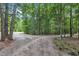 Long gravel driveway winding through mature trees leading to the estate at 8510 Dunlee Falls Rd, Raleigh, NC 27613