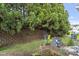 Backyard featuring a brick retaining wall, grass and mature evergreens at 109 Grey Elm Trl, Durham, NC 27713