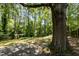 A large tree with a swing is nestled in a private backyard at 111 Lattimore Ln, Durham, NC 27713