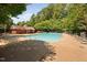 A bright, sunlit community pool with lounge chairs and lush greenery surrounding the area at 1851 Trailwood Heights Ln # 201, Raleigh, NC 27603