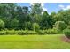 Lush green backyard with mature trees, offering privacy and a peaceful outdoor space at 236 Lynchwick Ln, Durham, NC 27703
