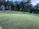 Large backyard featuring a well-maintained lawn and a serene wooded backdrop at 3428 Pinnacle Peak Dr, Raleigh, NC 27604