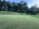 Vast green backyard with mature trees, providing privacy and shade at 3428 Pinnacle Peak Dr, Raleigh, NC 27604