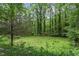 Private backyard offers natural beauty with mature trees and a lush green lawn at 4404 Oak Park Rd, Raleigh, NC 27612