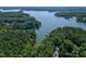 A serene lake view highlights the waterfront community with dense trees and winding shorelines at 52 Buoy Dr, Henderson, NC 27537