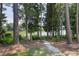 Backyard view with trees leading to lake water at 8106 Sommerwell St, Raleigh, NC 27613
