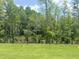 View of the lush green backyard with a black metal fence and mature trees in the background at 817 Kensley Grove Ln # 16, Fuquay Varina, NC 27526