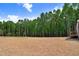 Large backyard backing up to a wooded area at 157 Cherrybirch Ln, Zebulon, NC 27597