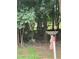 Backyard featuring a stone bird bath and mature trees at 175 Ann Dr, Timberlake, NC 27583