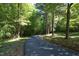 A winding paved driveway through lush greenery and mature trees, offering privacy and natural beauty at 267 Bald Eagle Dr, Pittsboro, NC 27312
