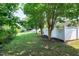 Picturesque backyard with a lush lawn and mature trees, offering a private and tranquil outdoor setting at 325 Millet Dr, Morrisville, NC 27560
