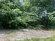 Asphalt basketball court surrounded by trees at 4070 Swannie Coble Rd, Snow Camp, NC 27349