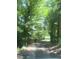 Dirt driveway surrounded by trees at 4070 Swannie Coble Rd, Snow Camp, NC 27349