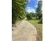 Long driveway leading to property surrounded by trees at 4070 Swannie Coble Rd, Snow Camp, NC 27349