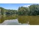 Scenic view of a serene lake surrounded by lush greenery and trees at 4070 Swannie Coble Rd, Snow Camp, NC 27349