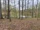 Scenic lake view surrounded by trees, offering a serene and private setting at 4070 Swannie Coble Rd, Snow Camp, NC 27349