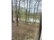 Lake view from window surrounded by trees at 4070 Swannie Coble Rd, Snow Camp, NC 27349