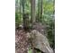 Natural backyard setting with decorative accent at 4070 Swannie Coble Rd, Snow Camp, NC 27349